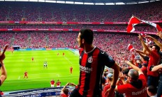 半岛体育竞技-西悉尼流浪者新援首秀引期待，世俱杯表现备受关注