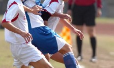 半岛体育在线-包含沈阳城市队再度胜出，势不可挡的词条