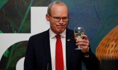 半岛体育亚洲官网-关于爱尔兰球队引进外援，提升实力水平的信息