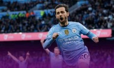 半岛体育亚洲官网-阿斯顿维拉逆转胜利，球迷疯狂欢呼的简单介绍