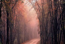 半岛体育亚洲官网-美国国家队备战，欧洲杯资格存疑