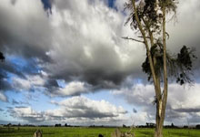 半岛体育官网-上港挑战重庆力帆，速胜还是硬仗？