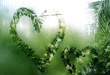 半岛体育教练-亚洲足球盛事中球队们的拼搏精神令人钦佩，亚洲足球队伍