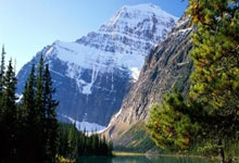 半岛体育vip注册-曼联中场因伤缺席关键联赛，对手实力受挑战，曼联的中场大将