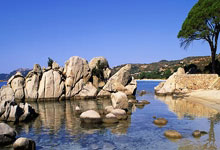 半岛体育vip注册-曼联中场因伤缺席关键联赛，对手实力受挑战，曼联的中场大将