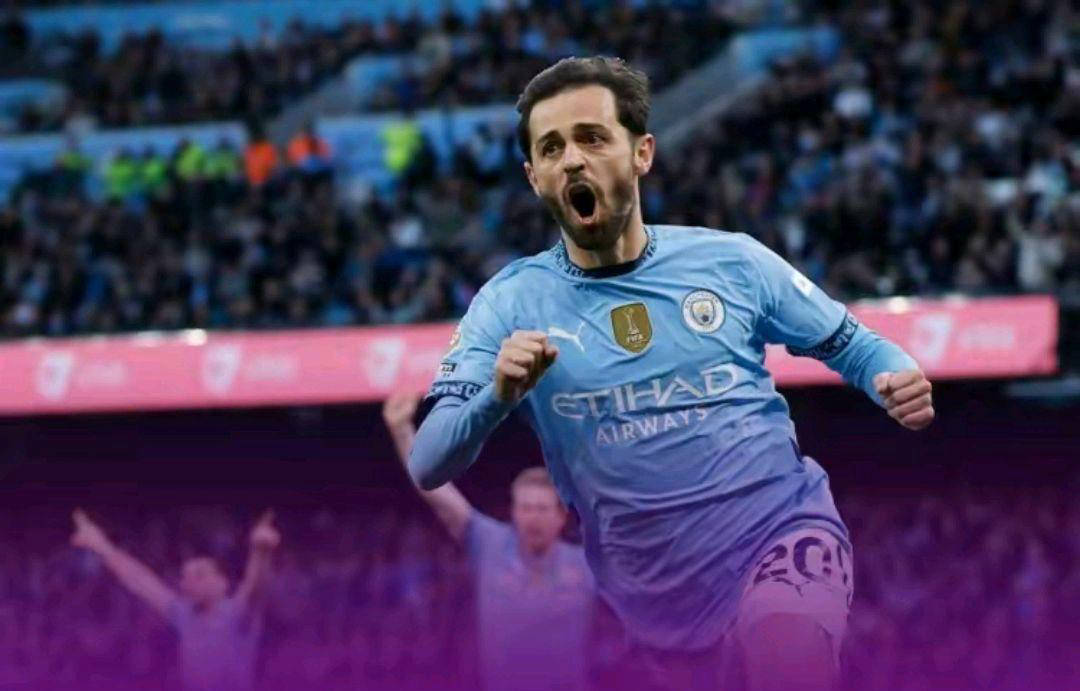 阿斯顿维拉逆转胜利,球迷疯狂欢呼的简单介绍 阿斯顿维拉逆转胜利,球迷疯狂欢呼的简单介绍