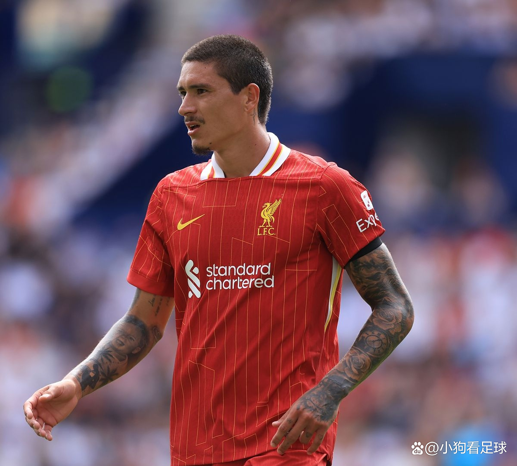 利物浦中场大将重伤，季前赛无望